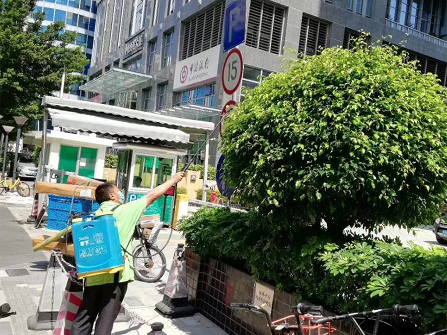 绿植养护